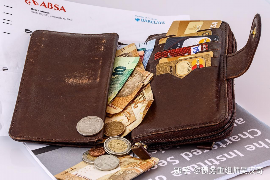 贷款软件遇见催收:揭秘现代金融生态中的挑战与应对 贷款软件遇见催收:揭秘现代金融生态中的挑战与应对
